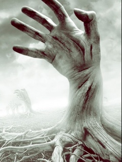 Other Wallpapers 0878